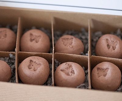 Grow an Eco-Friendly Garden