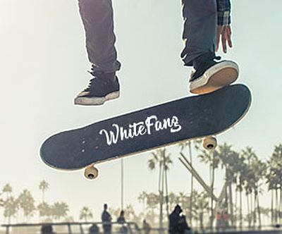 Learn How to Skateboard