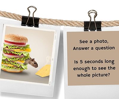 Play a Virtual Memory Game with Friends