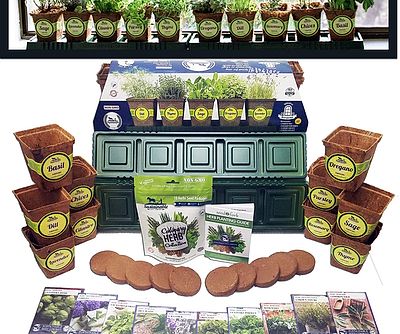 Start An Herb Garden