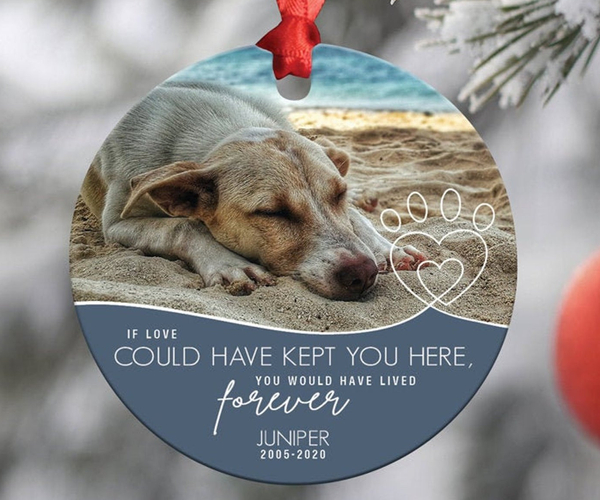 memory items for dogs