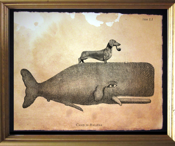 weiner dog merchandise