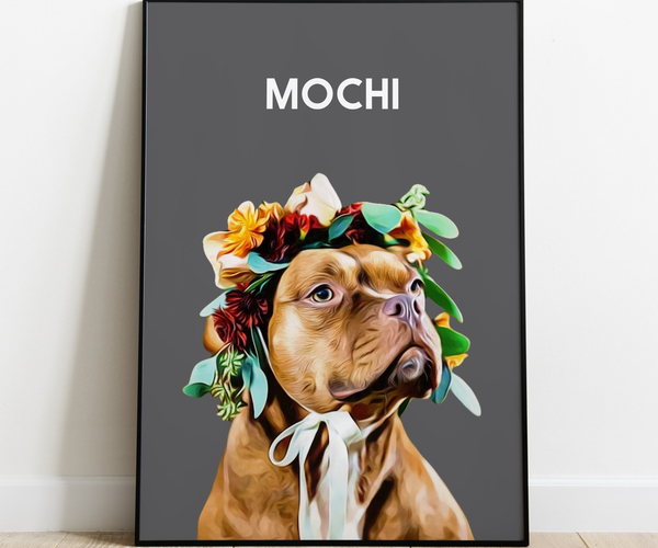 Dog Fly Snapping Treatment