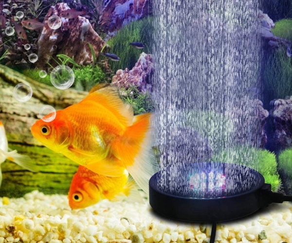Craziest Fish Tanks Escapeauthority