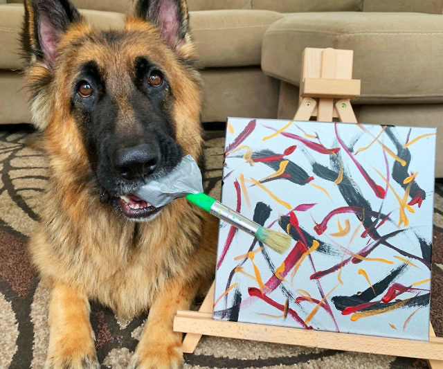 Paintings Made By A Dog