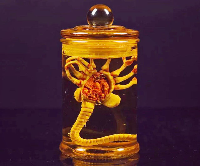 Alien Predator Larva Face Hugger