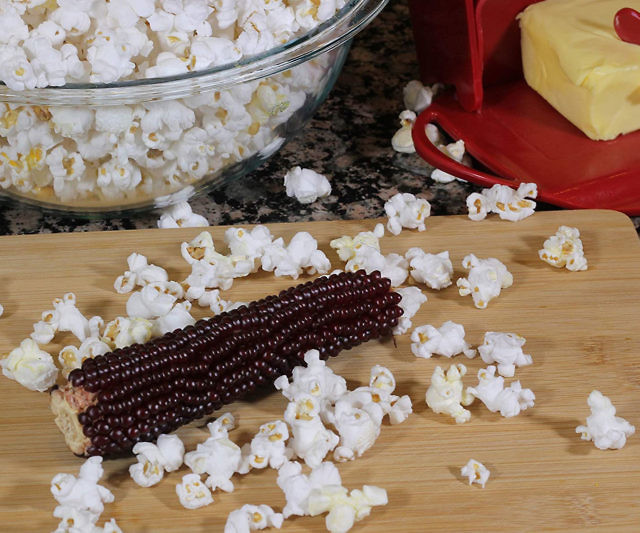 Amish Country Popcorn
