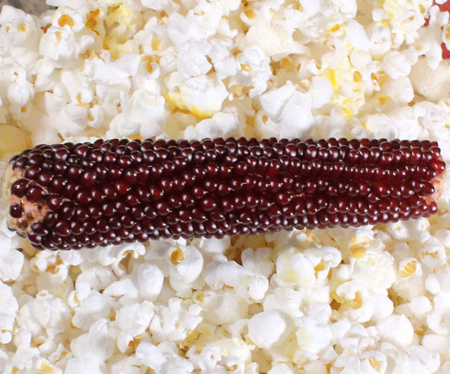 Amish Country Popcorn