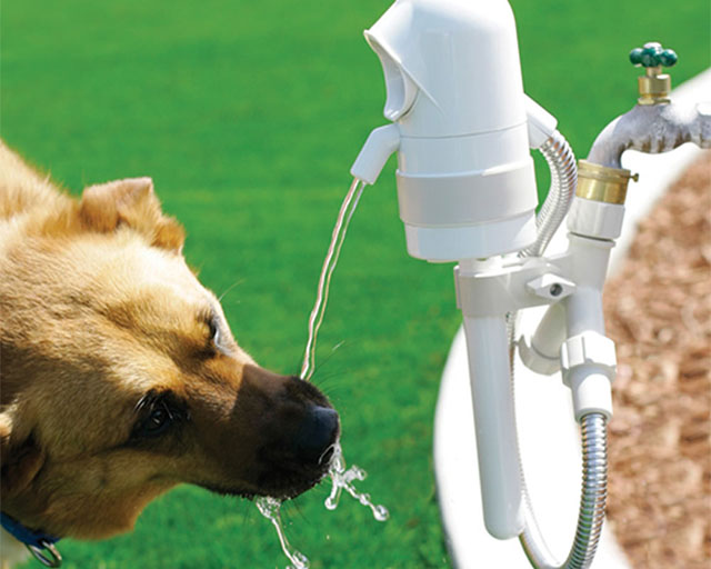 Automatic Dog Drinking Fountain