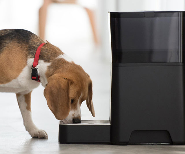 App Controlled Automatic Pet Feeder