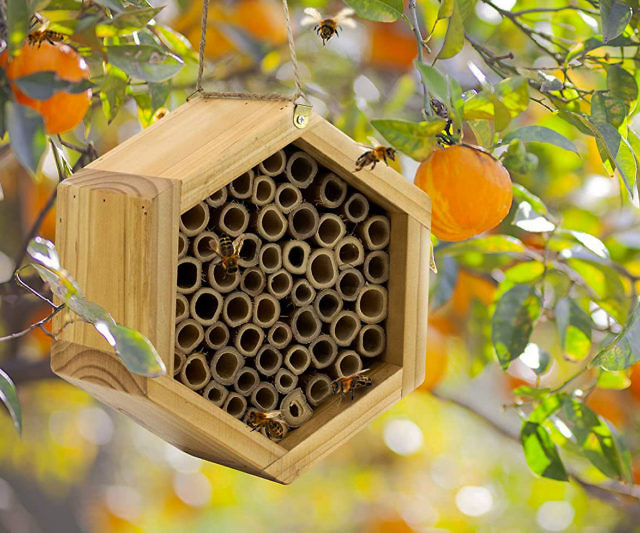 Bamboo Bee House
