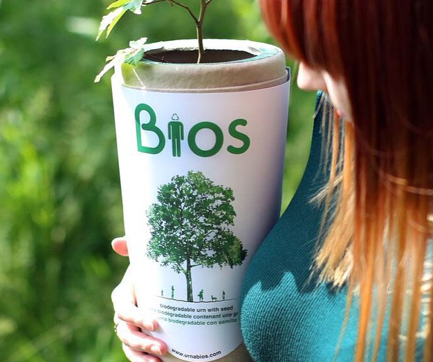 Human Ashes Tree Planter Urn