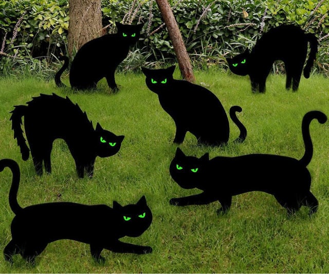Black Cat Halloween Yard Decor