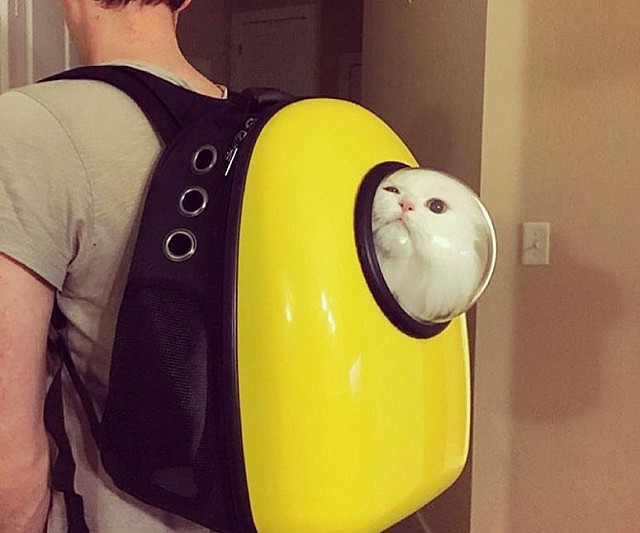 Bubble Backpack Pet Carrier