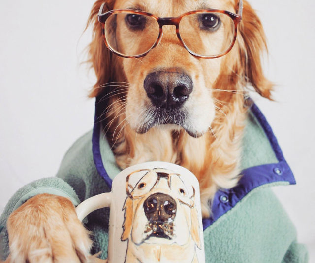 Carved Pet Portrait Mug