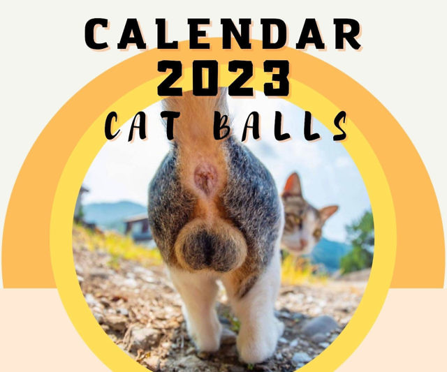 Cat Balls Calendar Cat Balls Calendar