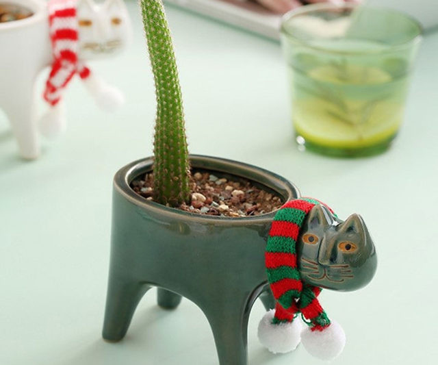 Cat Tail Cactus Planters