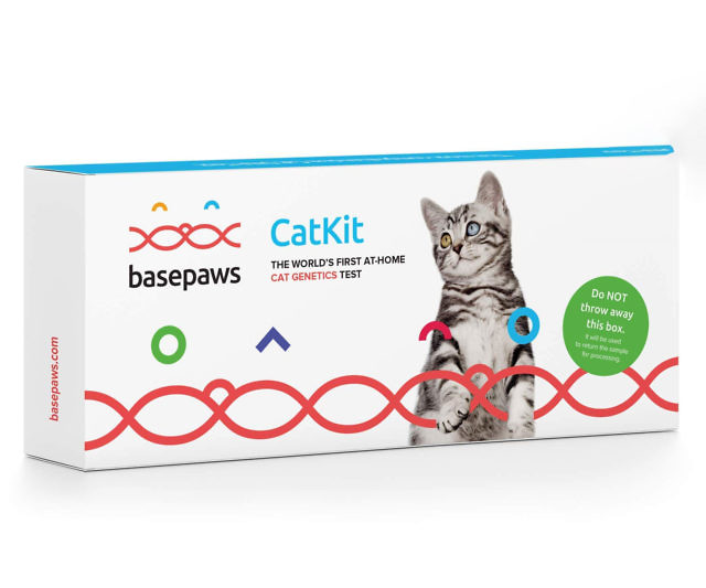 Cat DNA Test