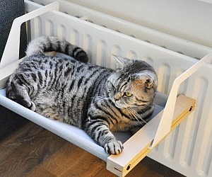 cat hammock