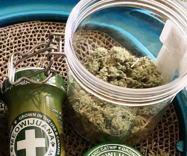 Meowijuana Premium Catnip