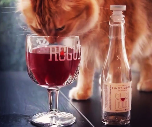 catnip wine