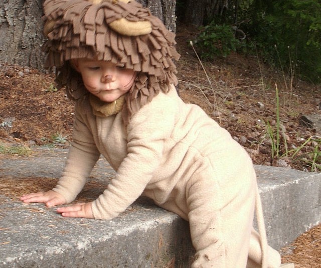 Kid’s Lion Costume