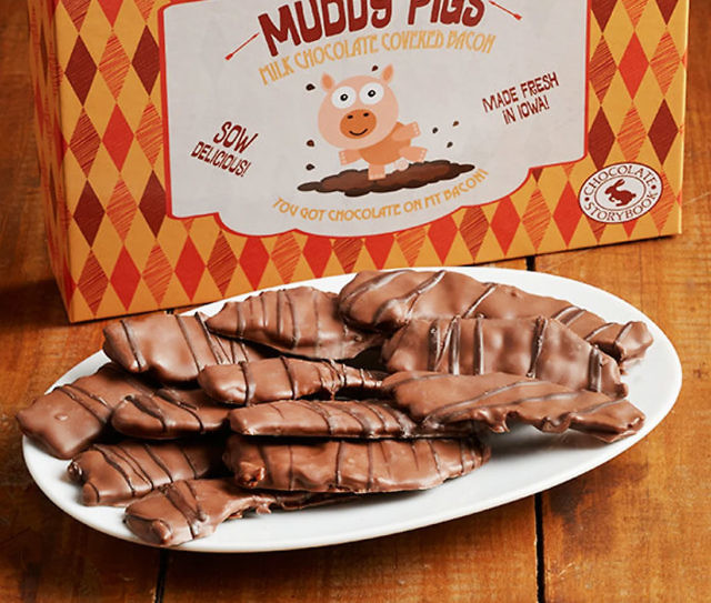 Chocolate Covered Bacon