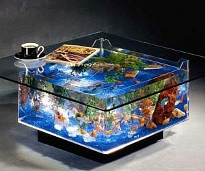 Coffee Table Aquarium