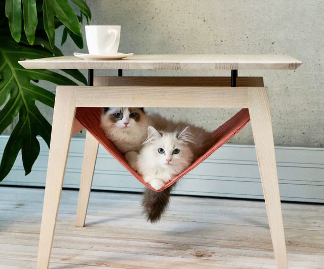 Coffee Table Cat Hammock