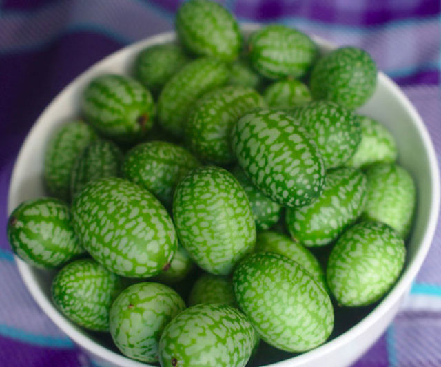 Mini Watermelon Cucumber Seeds