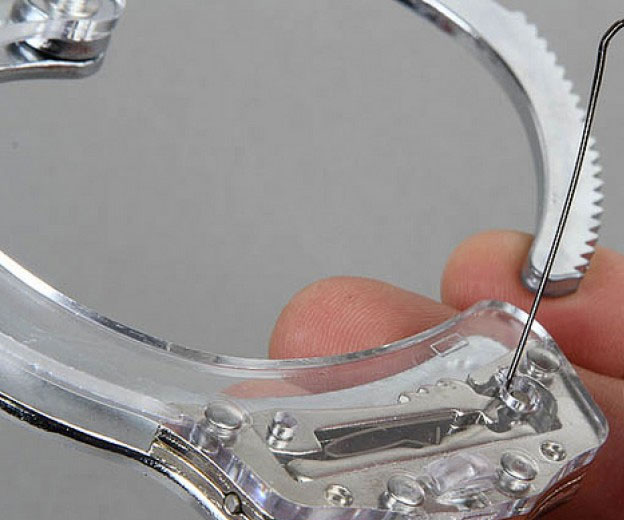 blowjob-cutaway-picture