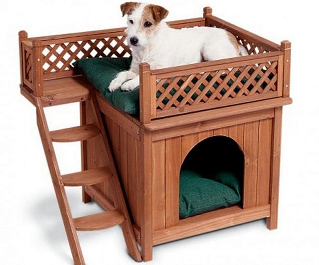 Dog Bunk Bed