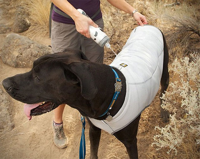 Dog Cooling Vest