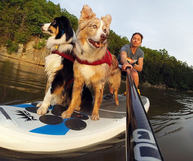 Stand Up Paddleboard Pet Traction Mat