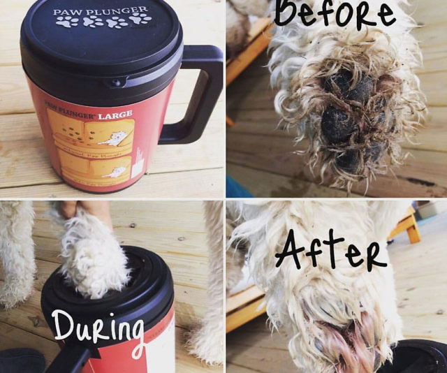 Dog Paw Cleaner