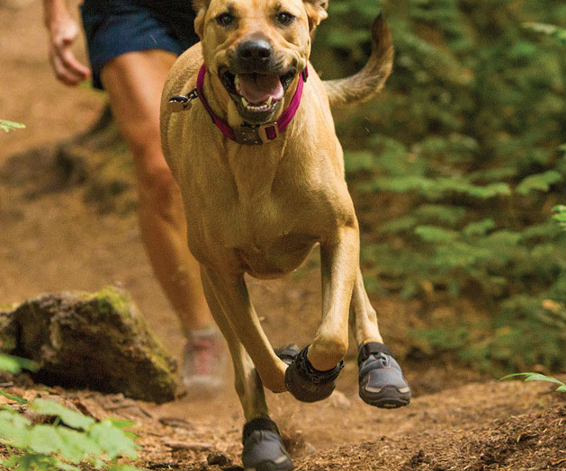 Protective Pet Trekking Boots
