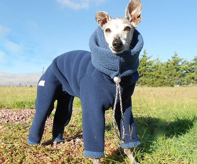 Dog Winter Suit