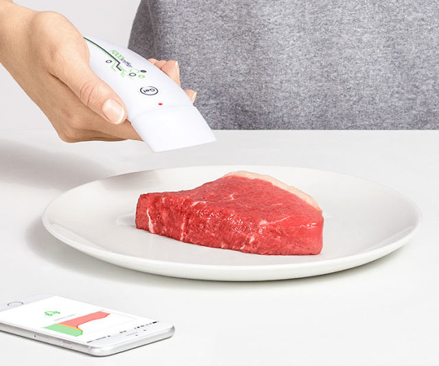 Food Freshness Tester