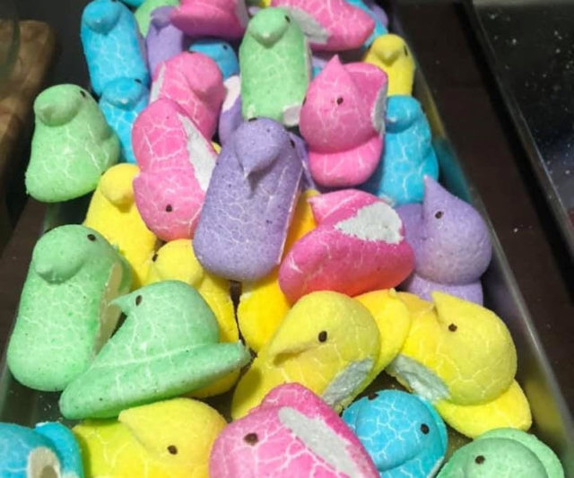 Freeze Dried Marshmallow Peeps
