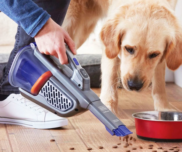 Furbuster Handheld Pet Vacuum