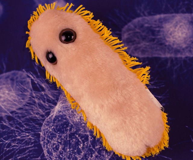Microbe Plushies