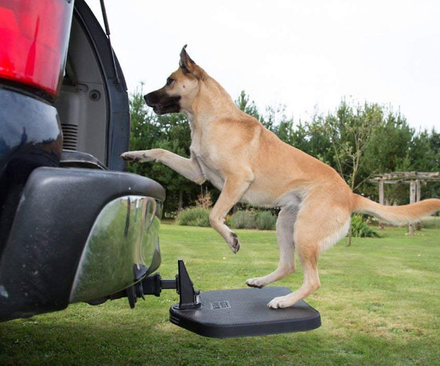 Vehicle Hitch Step For Dogs