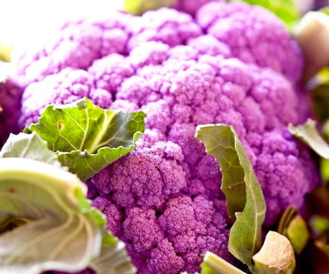 Heirloom Purple Cauliflower Seeds