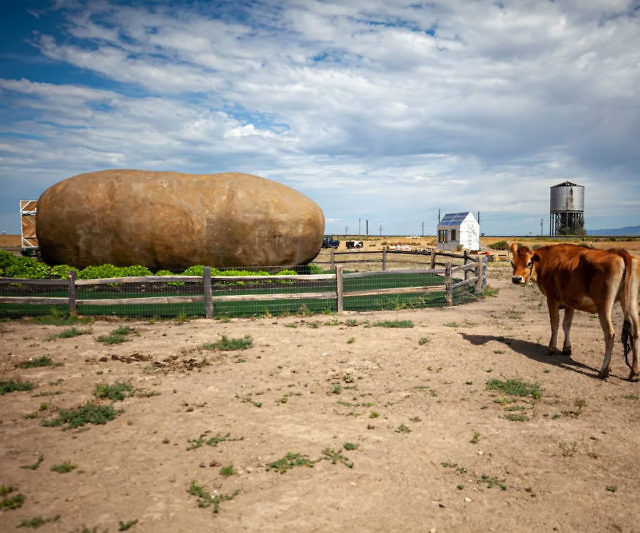 Big Idaho Potato Airbnb