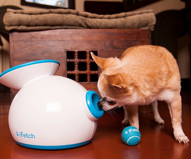 Automatic Ball Launcher