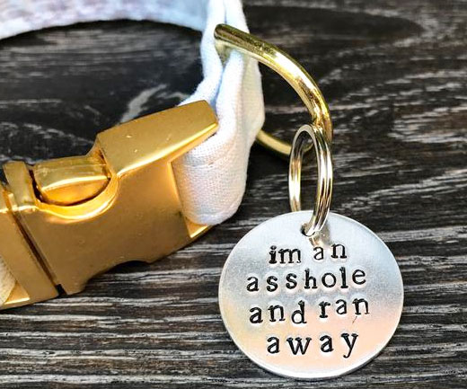 lost pet tag