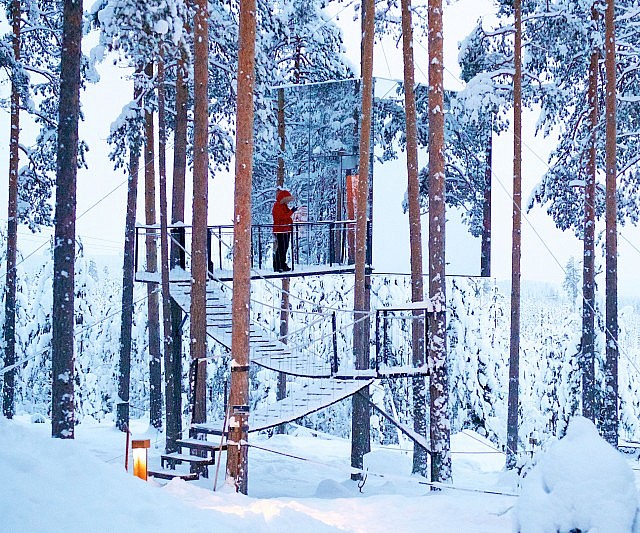 Mirror Cube Treehouse Rental