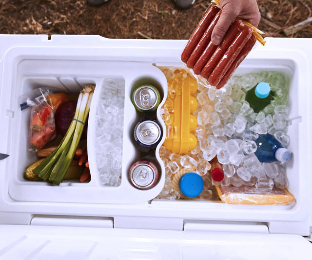 Cooler Organizer System