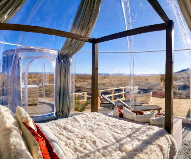 Joshua Tree Remote Desert Bubble