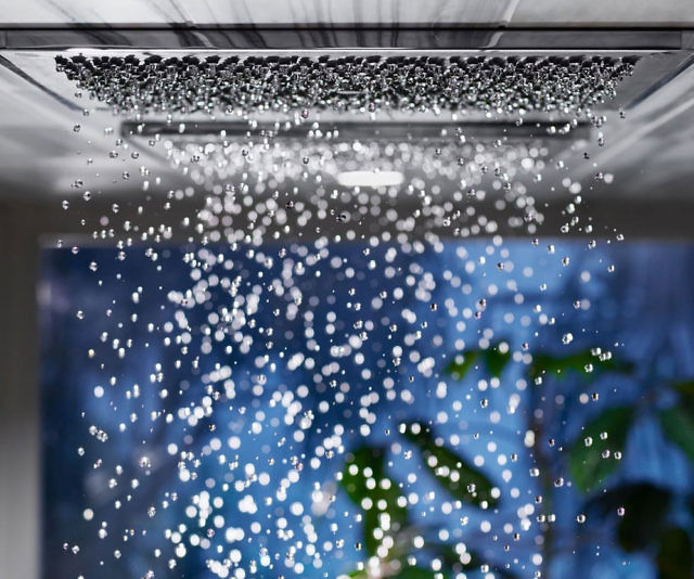 Kohler Real Rain Shower Head